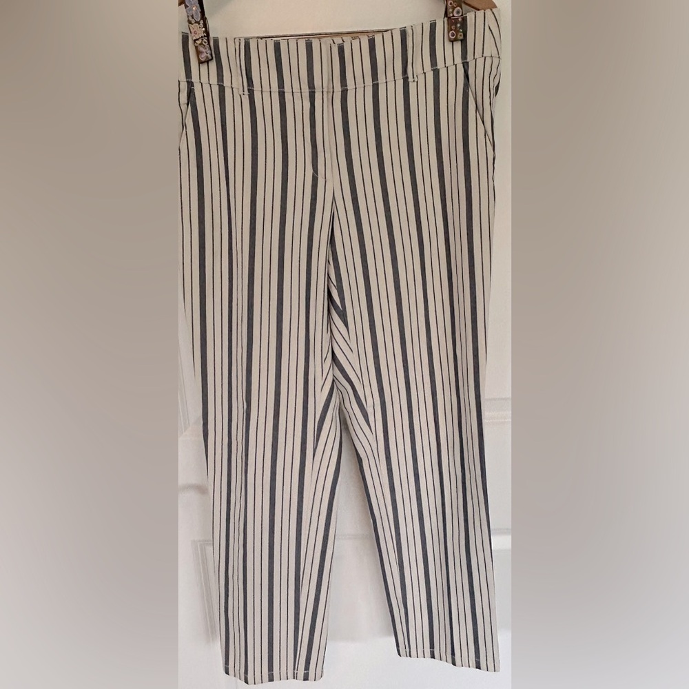 Loft Women’s 8 Striped Cotton Pants, Cream Blue